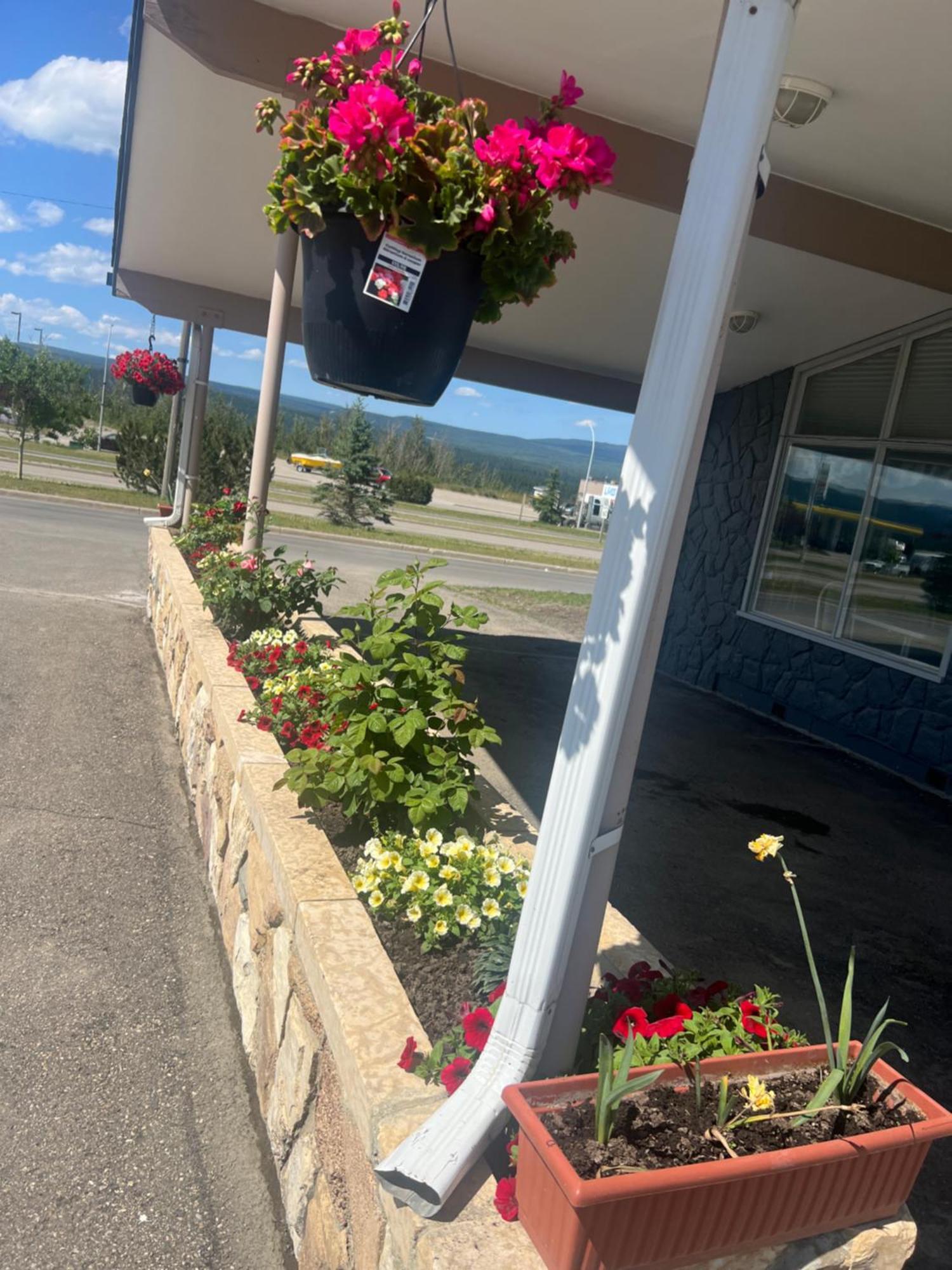 Tara Vista Motel 2*
